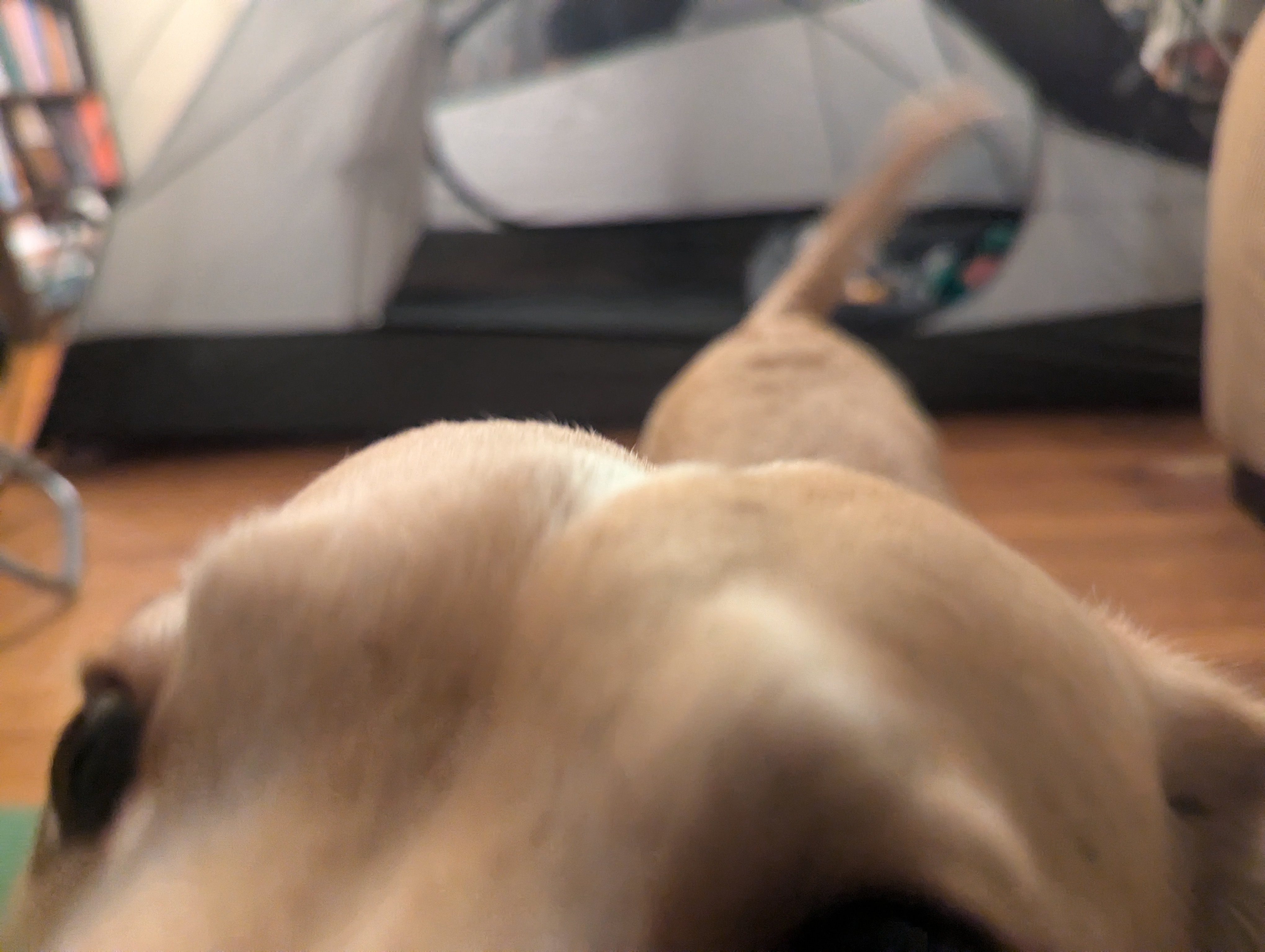 Unravelling with a Smile